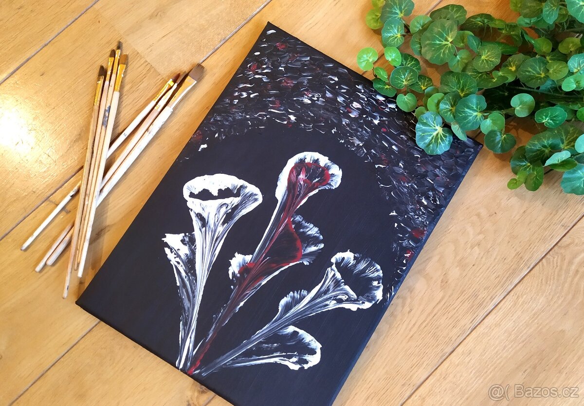 Obraz Abstraktní lilie