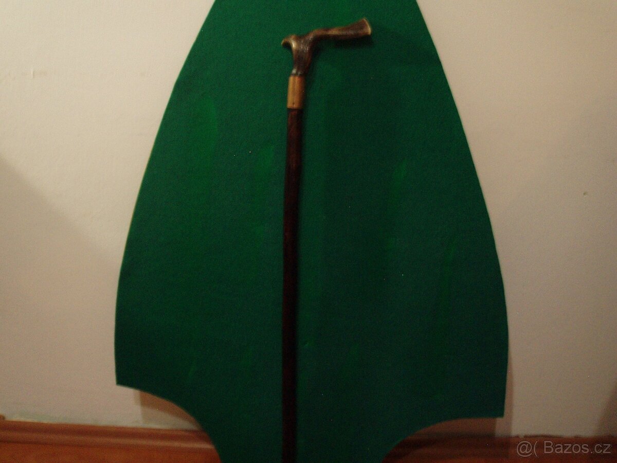 vycházková hůl