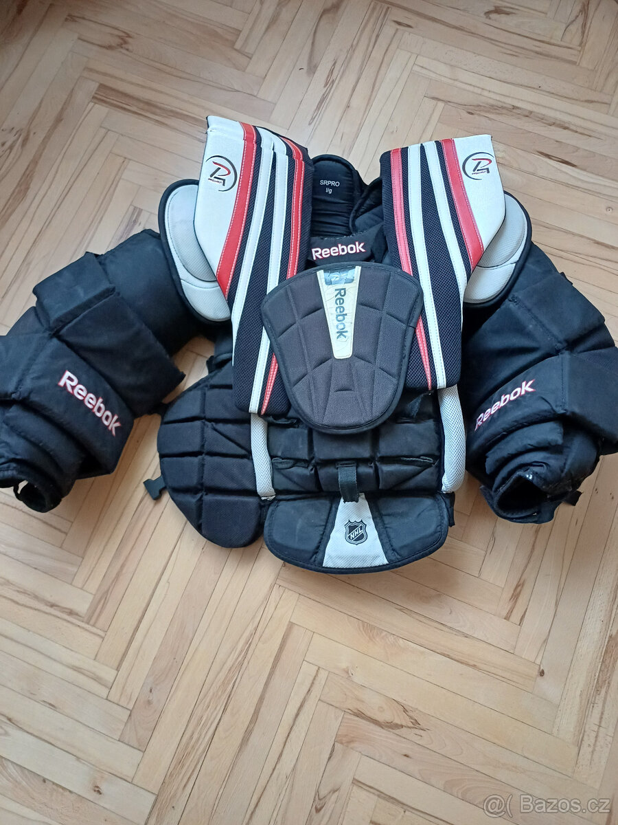 Brankářské vybavení (hokej)