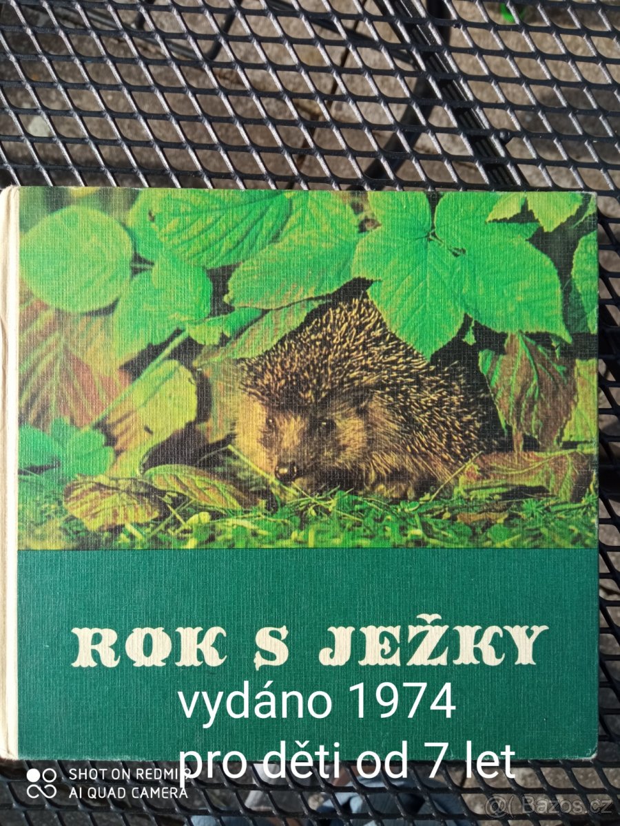 Rok s ježky