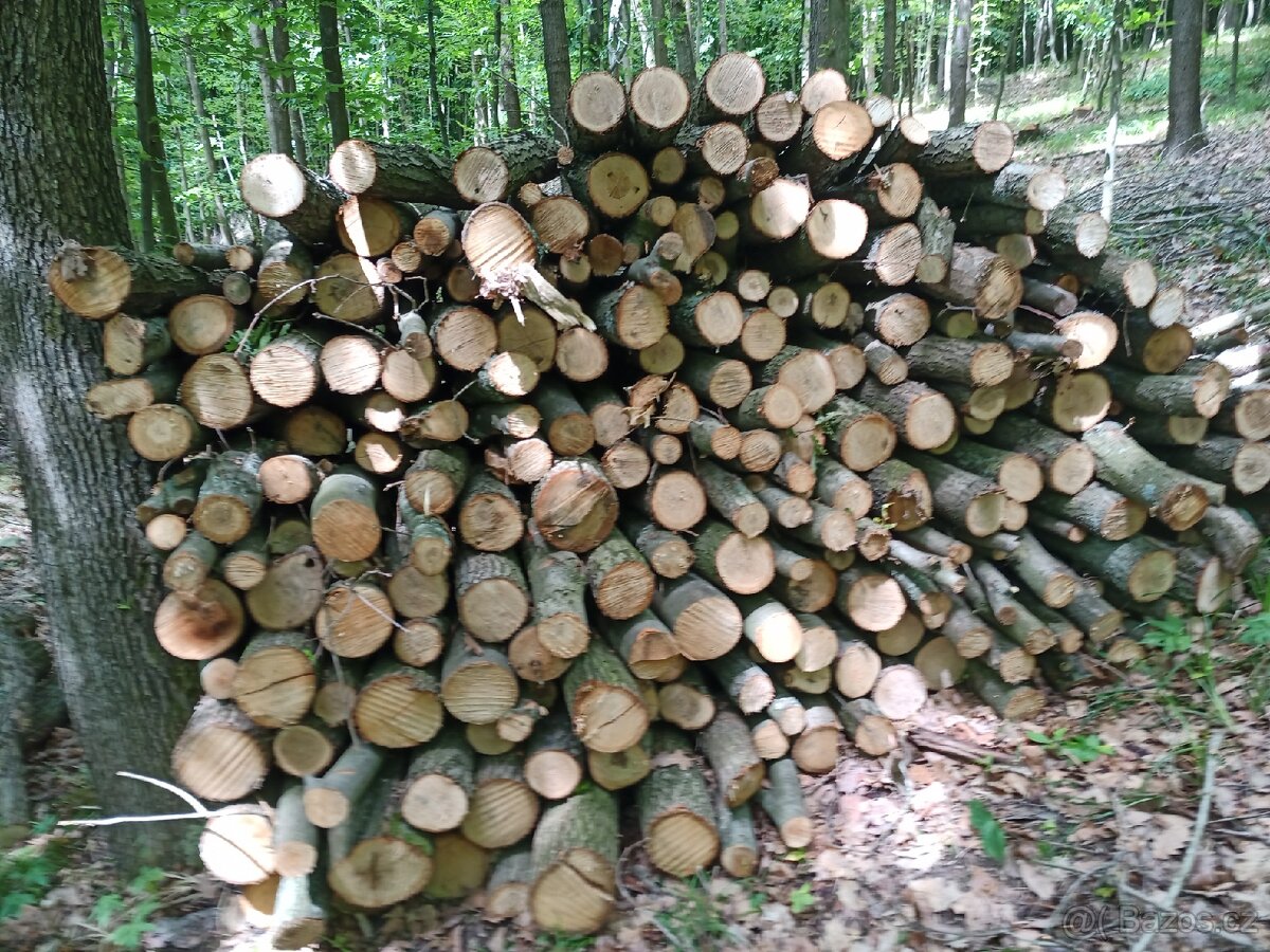 Palivové dřevo