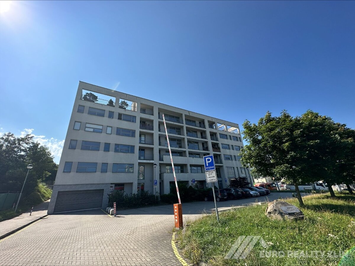 2+KK BŘEZNICKÁ ULICE, VČETNĚ PARKOVACÍHO STÁNÍ