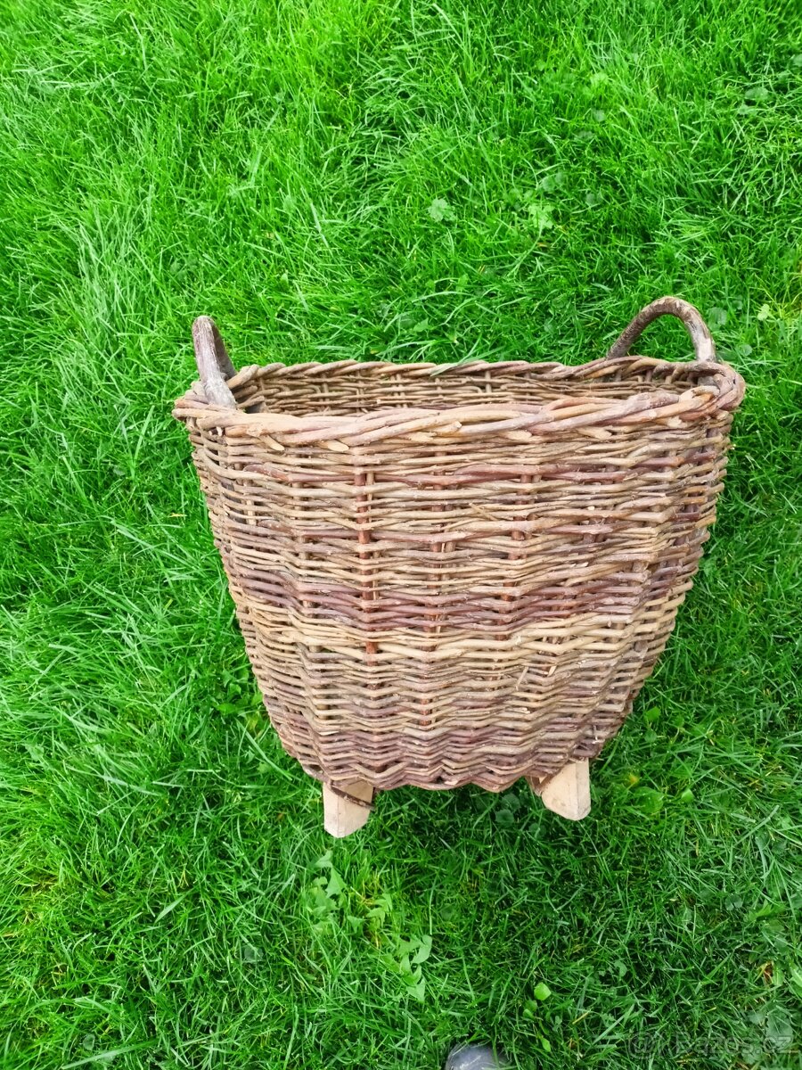 Proutěný dvou ušák