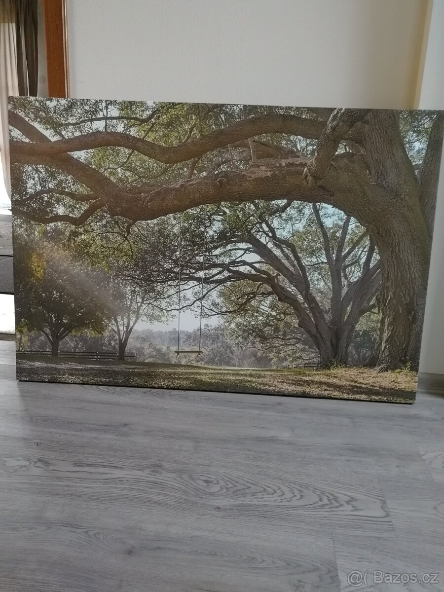Obraz příroda 115 X 80 cm