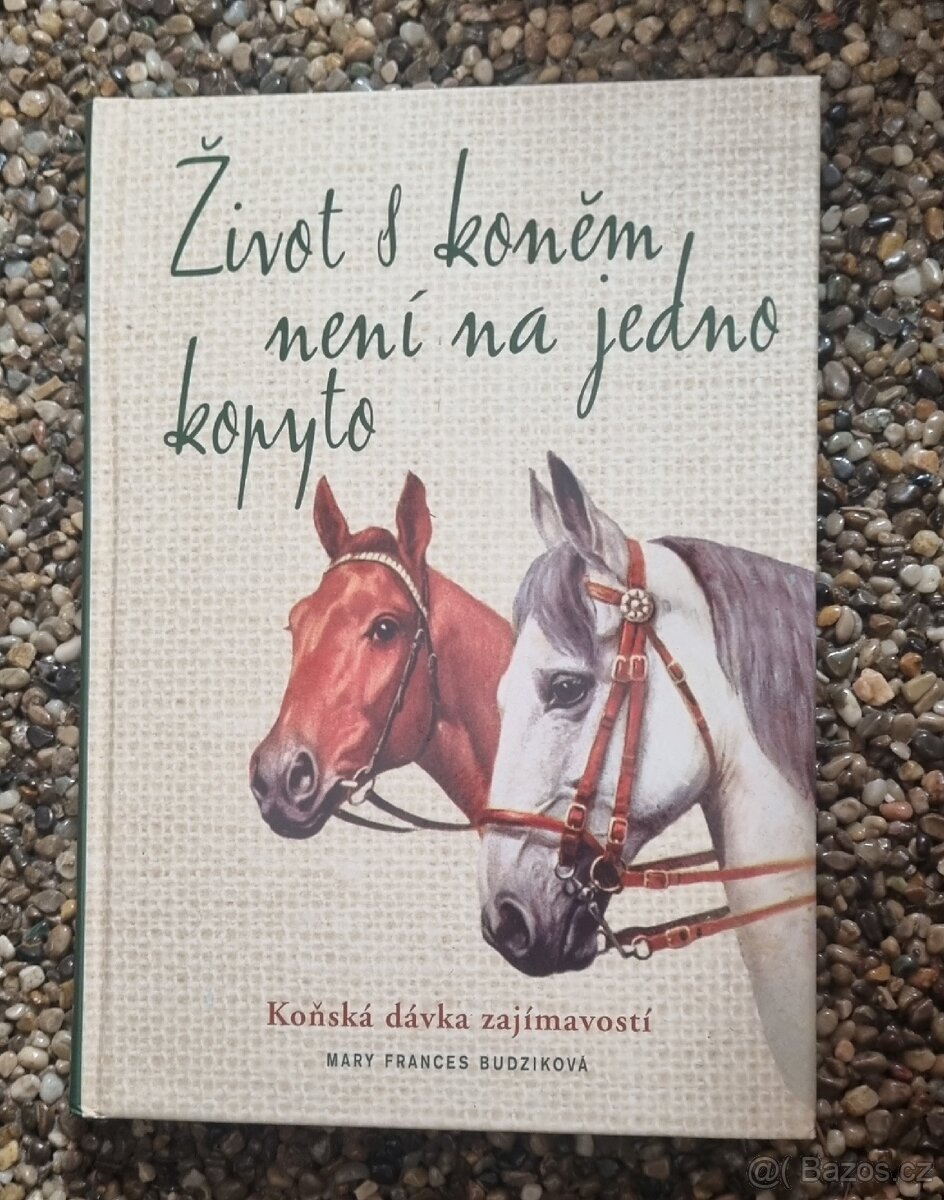KnihaŽIVOT S KONĚM NENÍ NA JEDNO KOPYTO