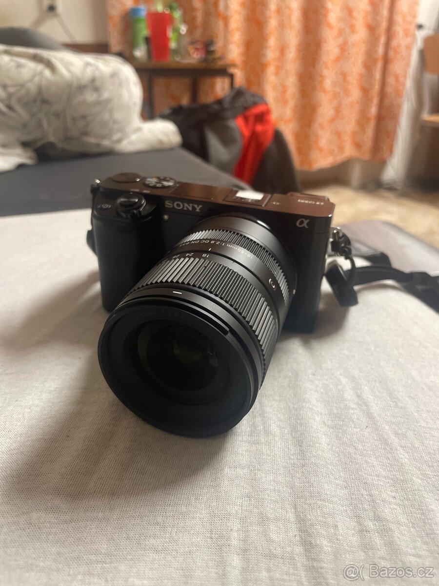 Sony a6000 + sigma 16-50mm f2.8