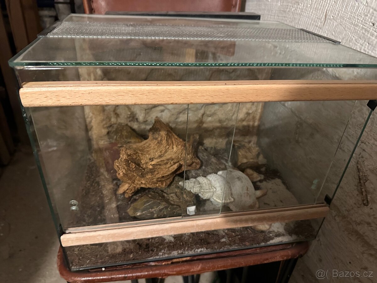 Paludarim/terarium