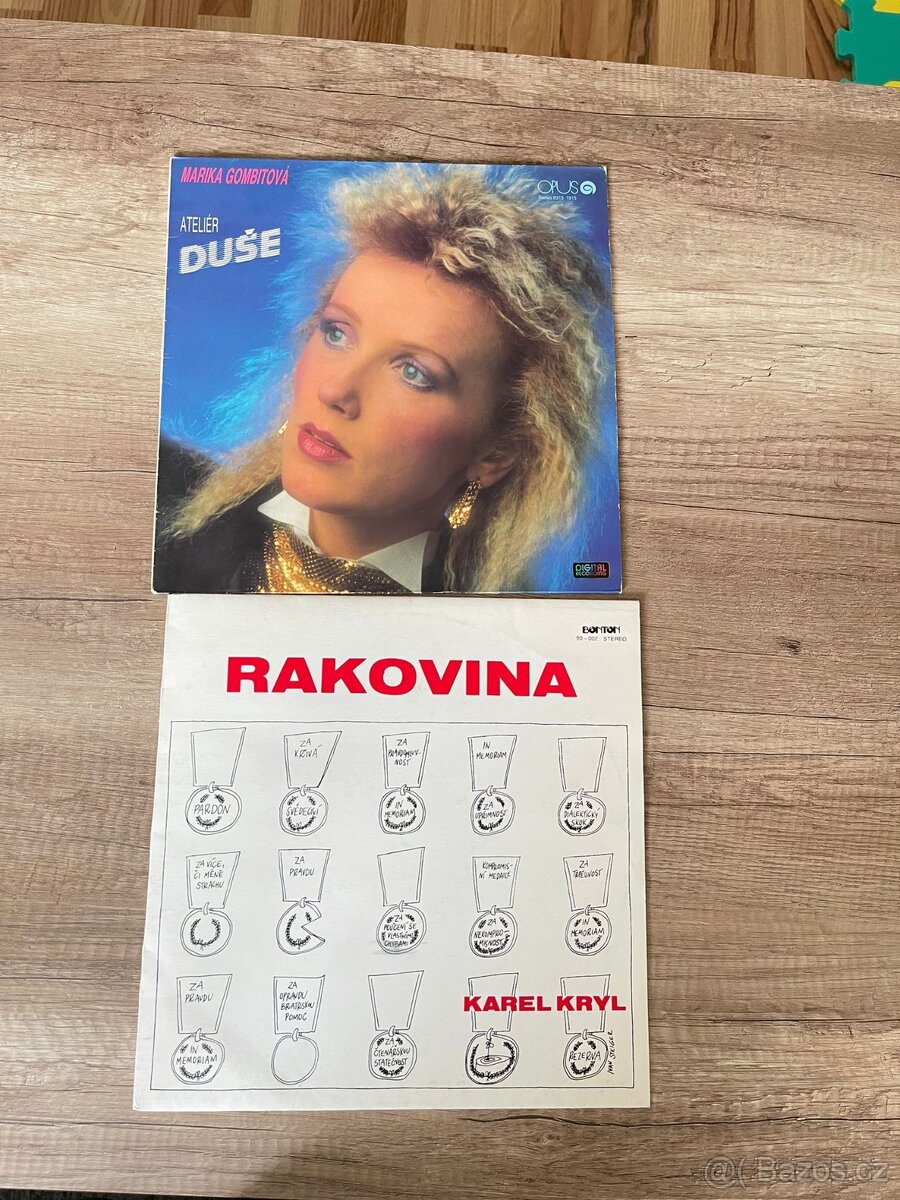 Gramofonové desky