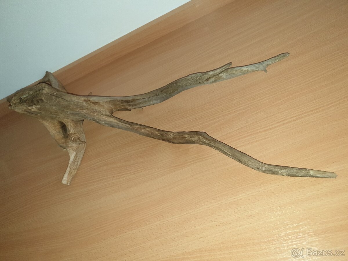 Kořen do akvária