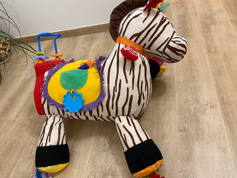 Zebra Ryan