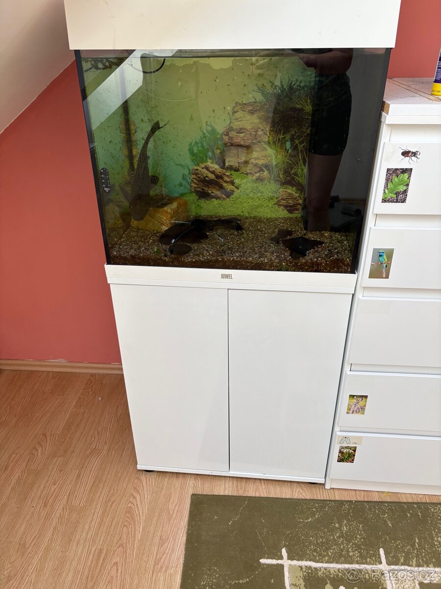 Akvárium Lido 120 l