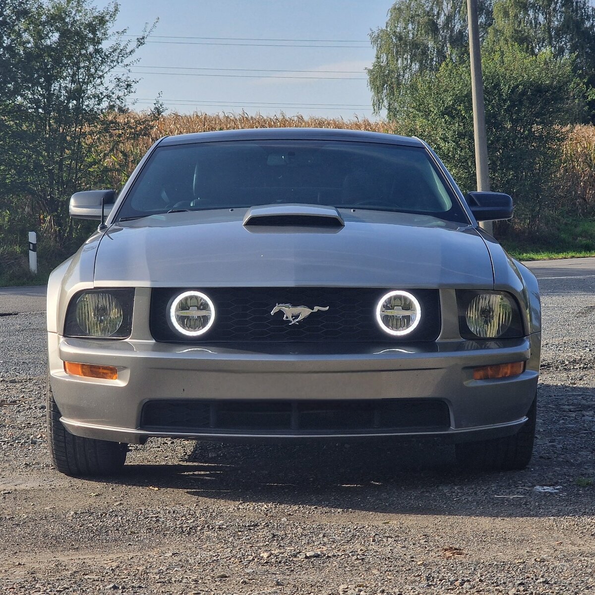 Ford mustang gt 2009 4.6 V8 manuál
