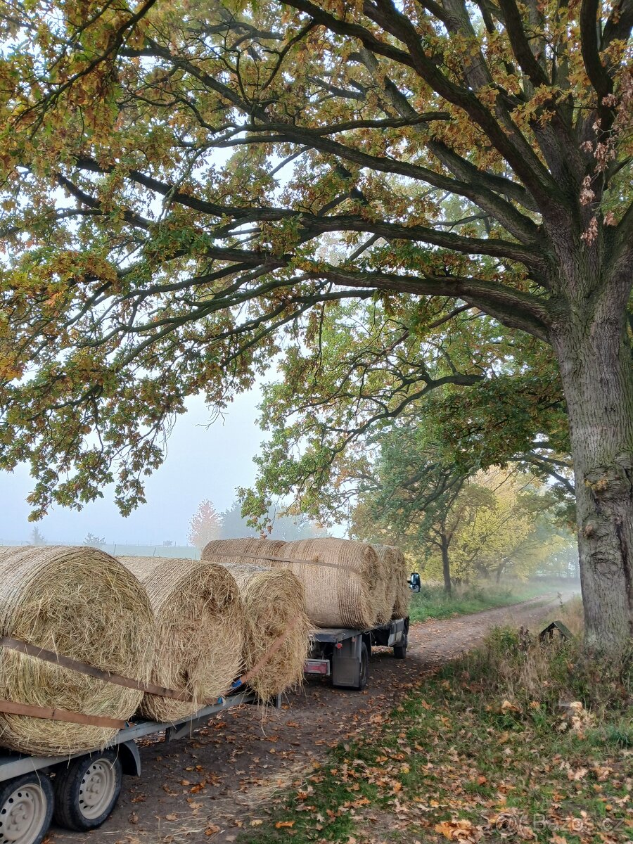 Letošní seno z haly z Vysočiny