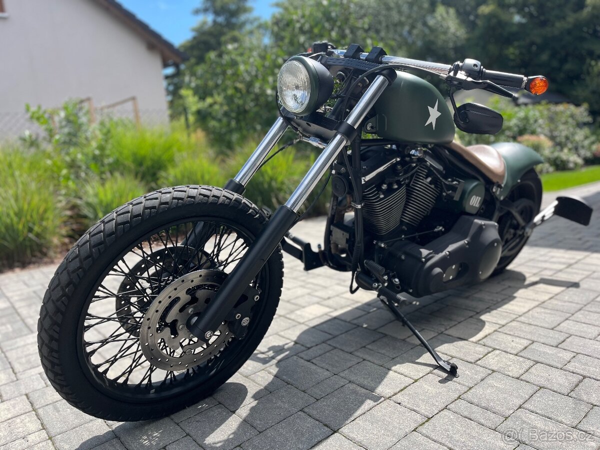 Unikátní stavba Harley Davidson fxstc Softail Custom