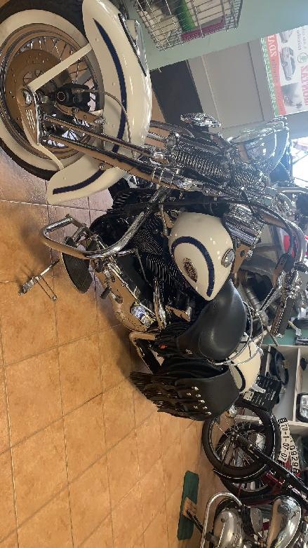 HARLEY DAVIDSON SPRINGERS