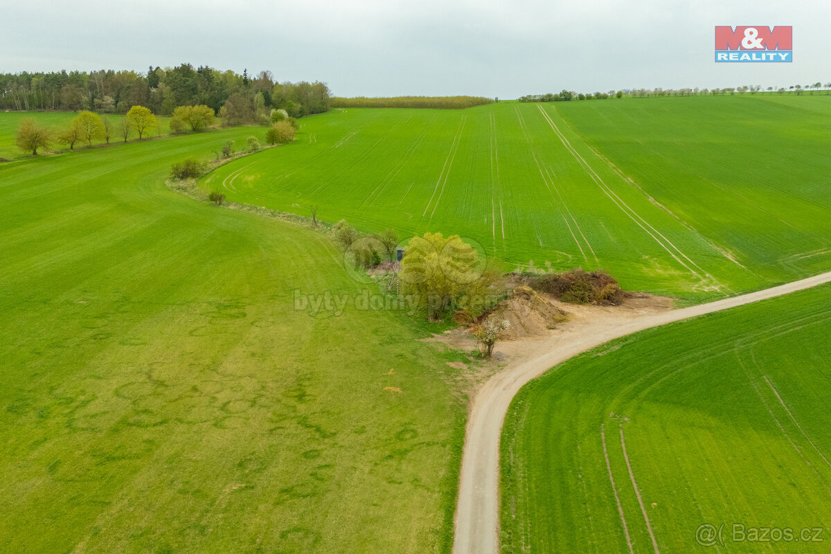 Prodej louky, 730 m², Olešnice