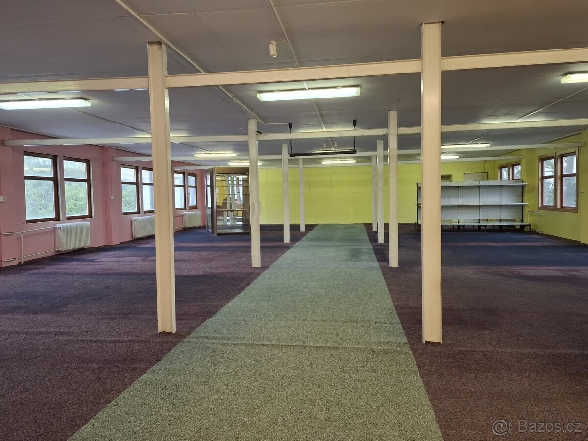 Pronájem prostor 550m2