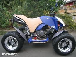 Bashan 300