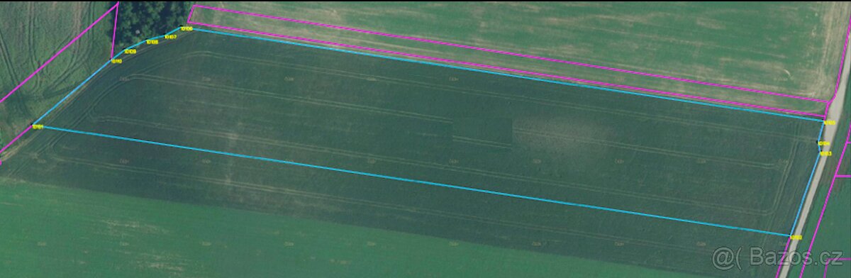 Prodám zemědělskou půdu v k. ú. Uherčice u Hustopeč