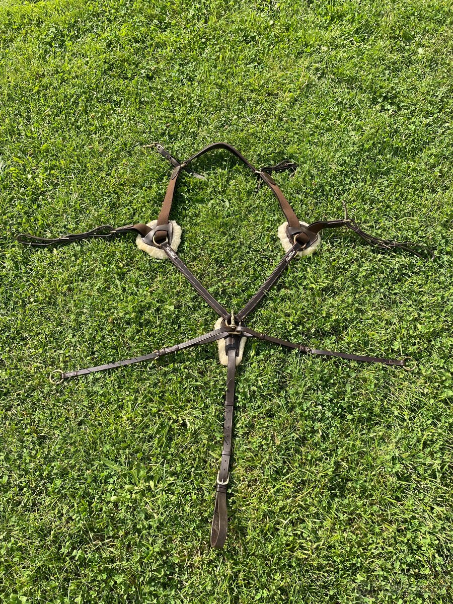 Pětibodový poprsák Kentaur Palermo