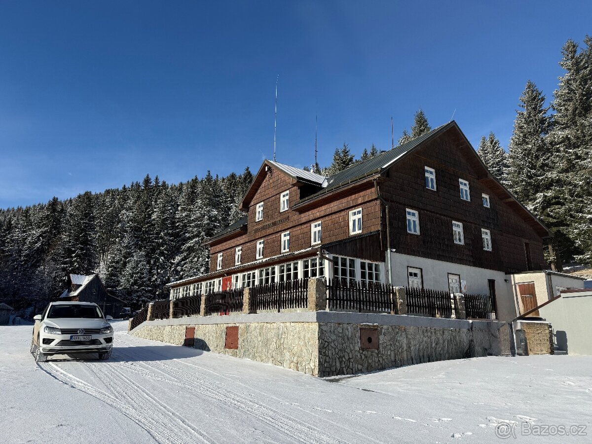 Obsluha restaurace, číšník, servírka