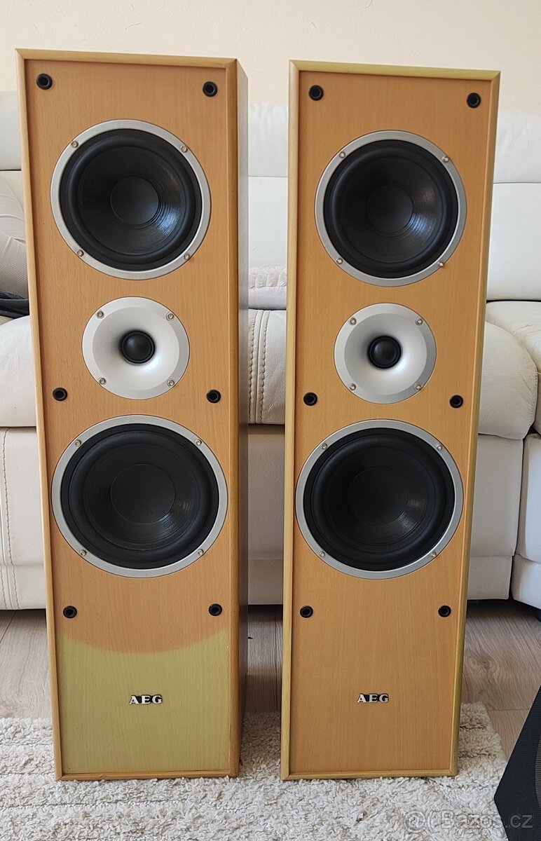 Sloupové reproduktory AEG LB 4704