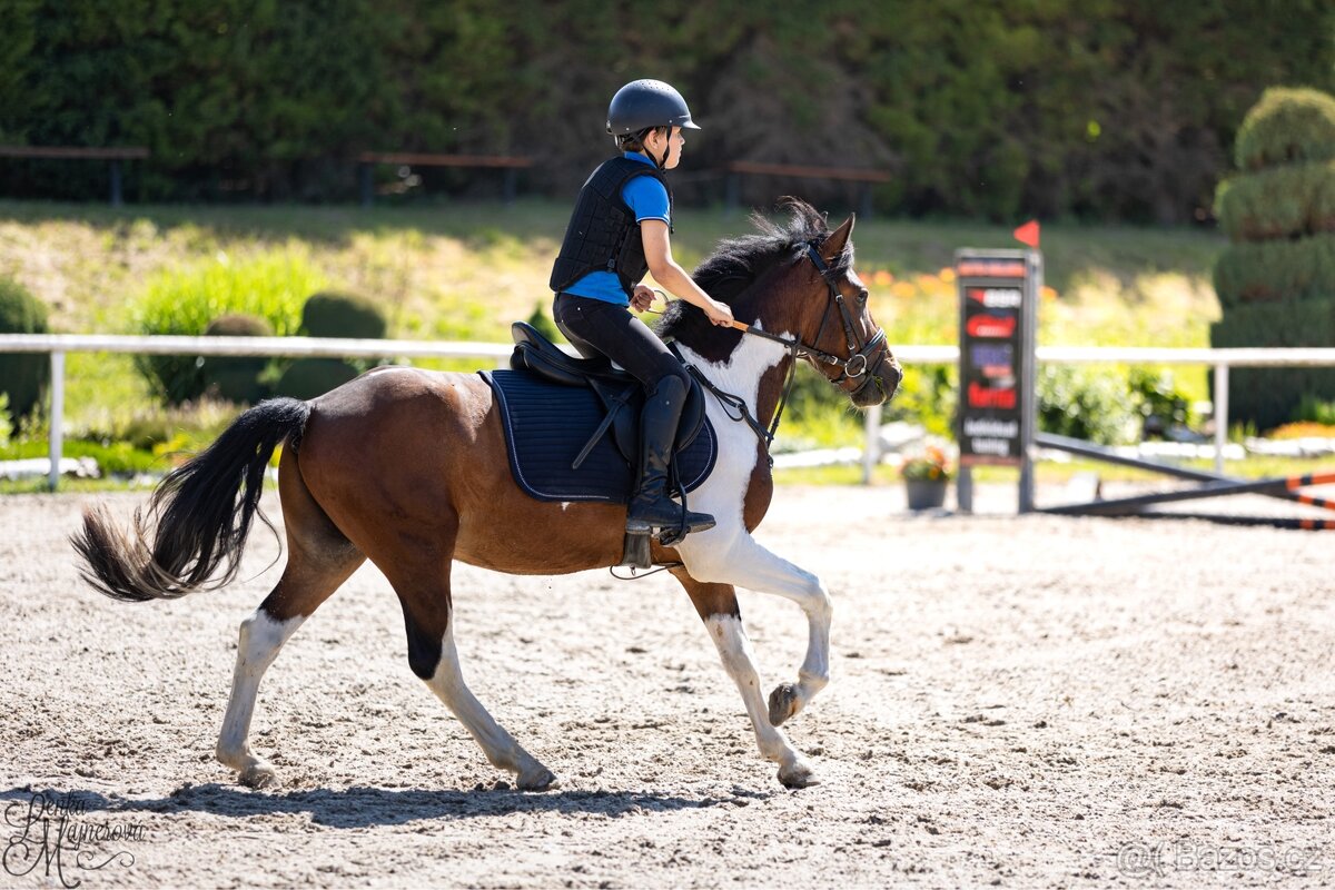 top pony valach pro dítě
