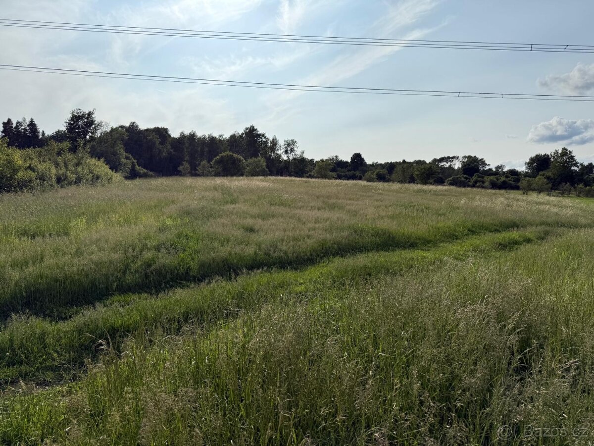 Prodám pozemky poblíž Plzně