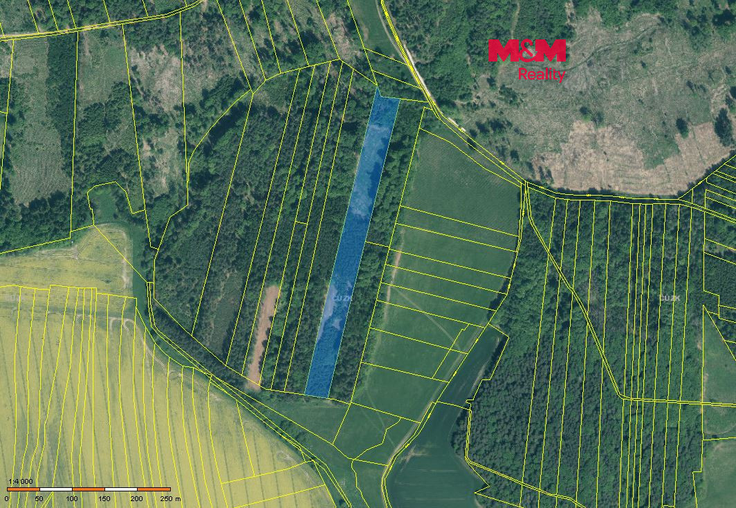 Prodej lesa, 17738 m², Jetětice