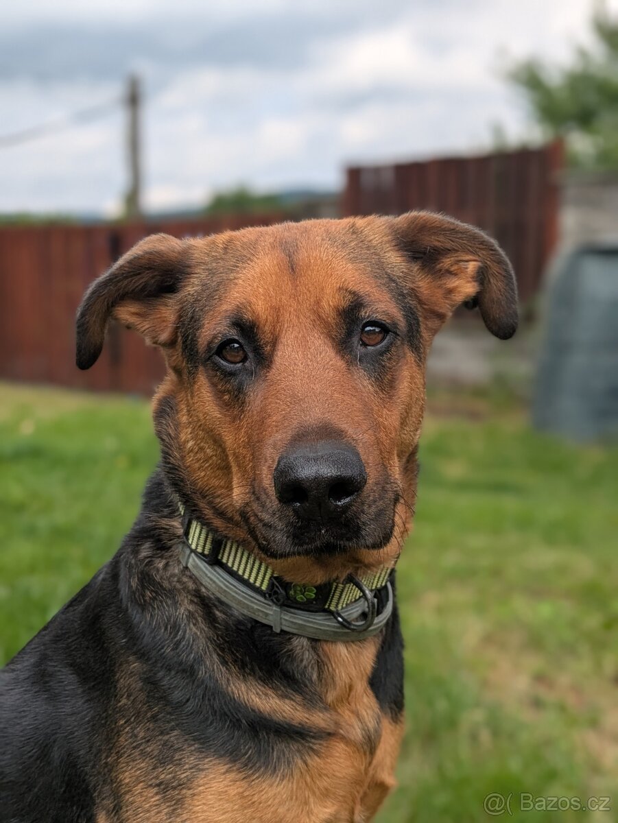 Mia