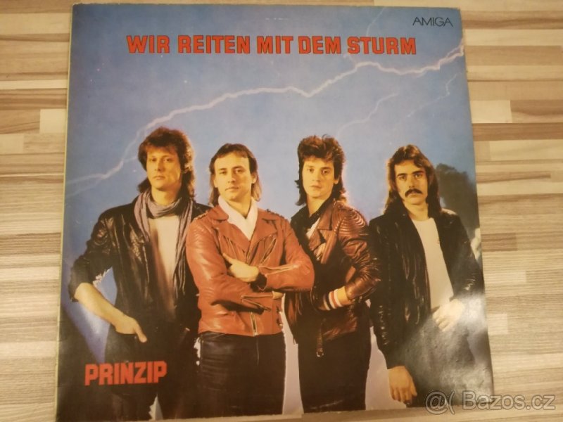 Prinzip Wir reiten mit dem sturm