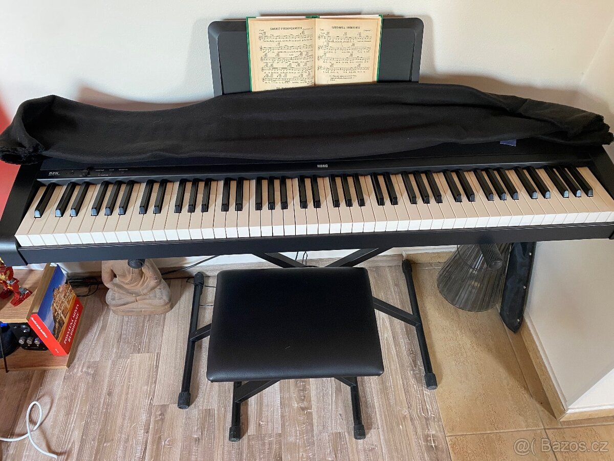 Korg digi piano