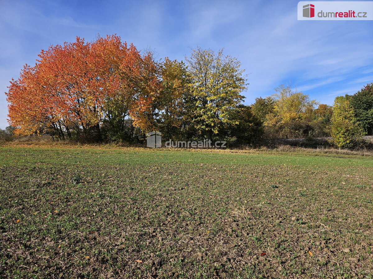 prodej pole a chmelnice Trnobrany