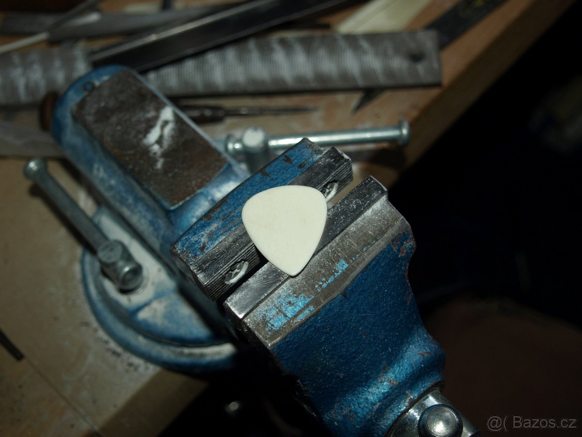 Trsátko- velbloudí kost