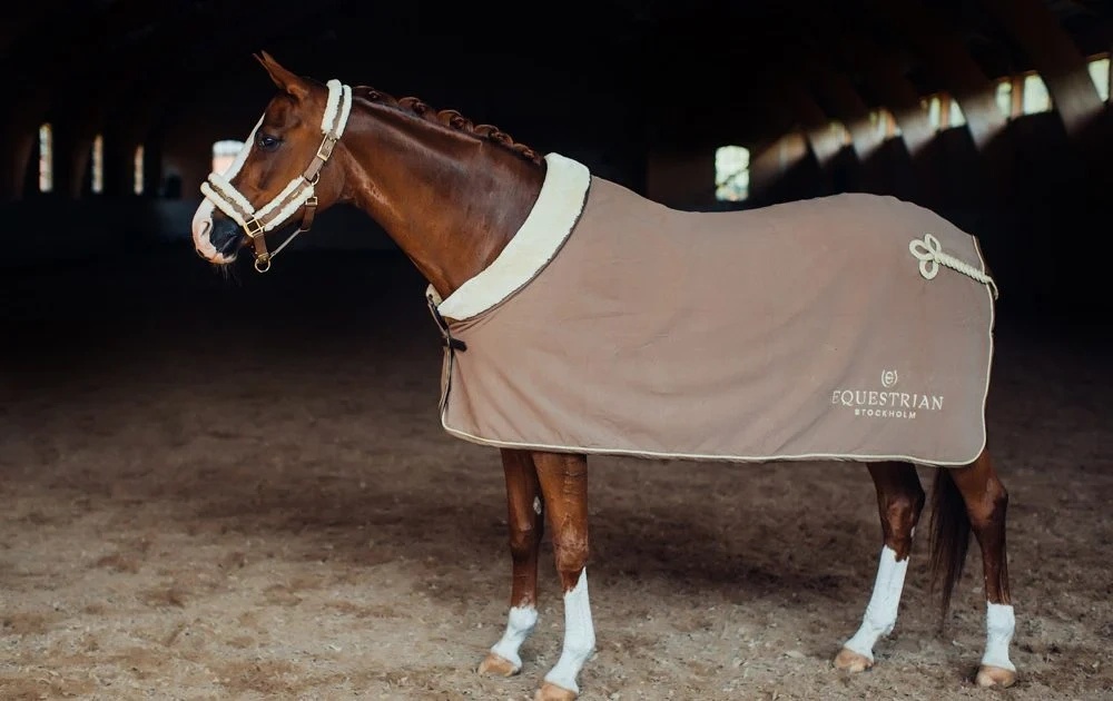 Odpocovací deka Equestrian Stockholm s beránkovým krkem