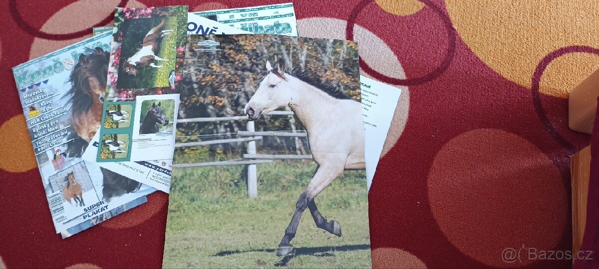 Koně a hříbata 37 kusů, plakáty+pohlednice