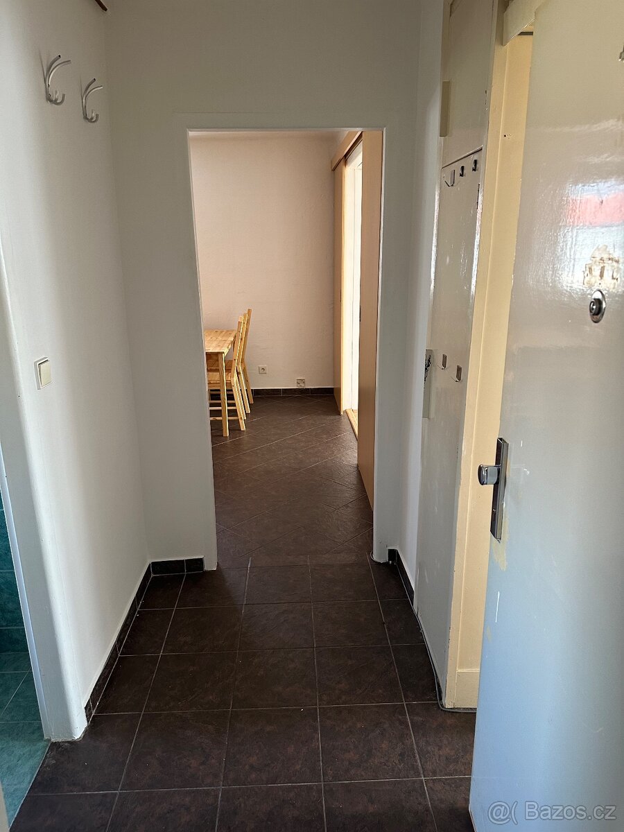 Pronajmu byt 2+1 (54m2) Čéčova ul.České Budějovice