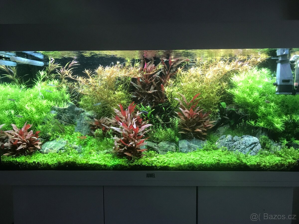 Akvárium Juwel RIO 180