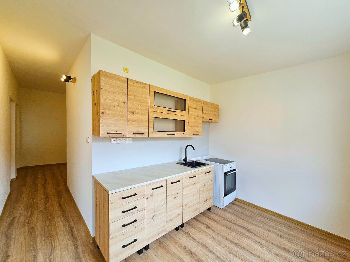 Podnájem bytu 2+1, ul. Na Borku, Jirkov