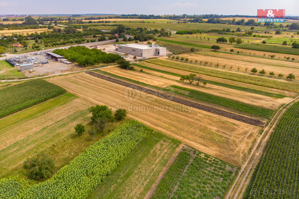 Prodej pozemku, 2005 m², Podivín