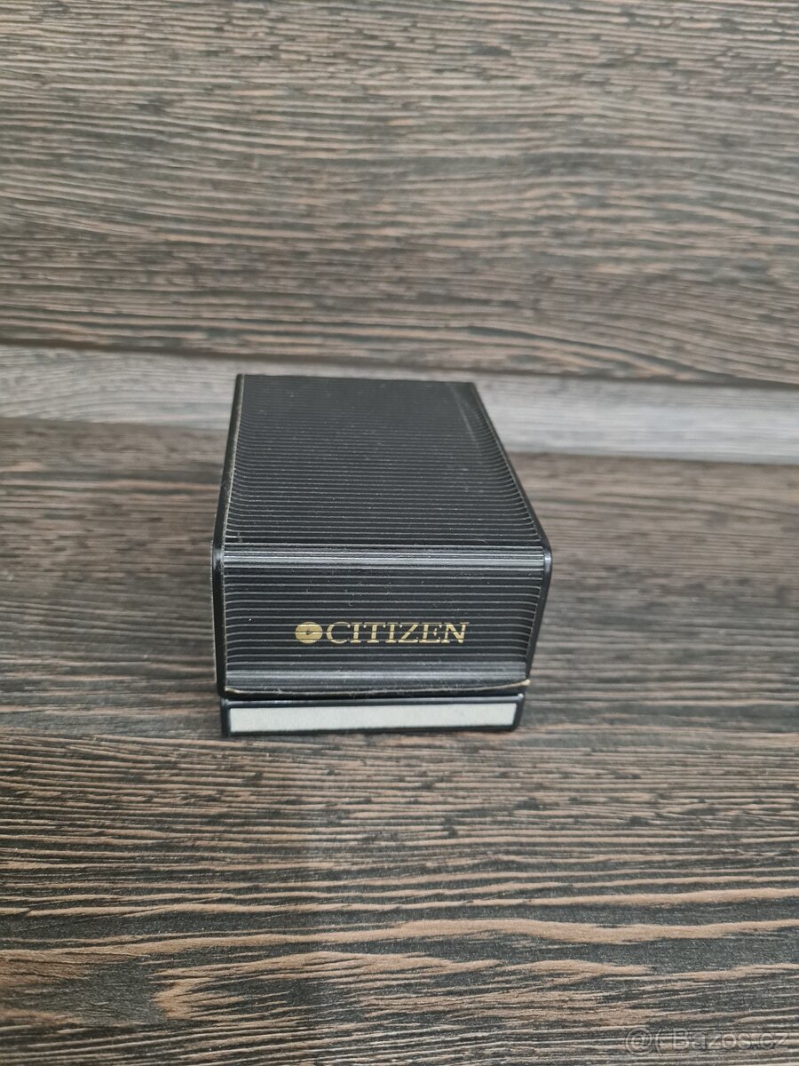 citizen eco drive titanium e110 H24610 TA WR100