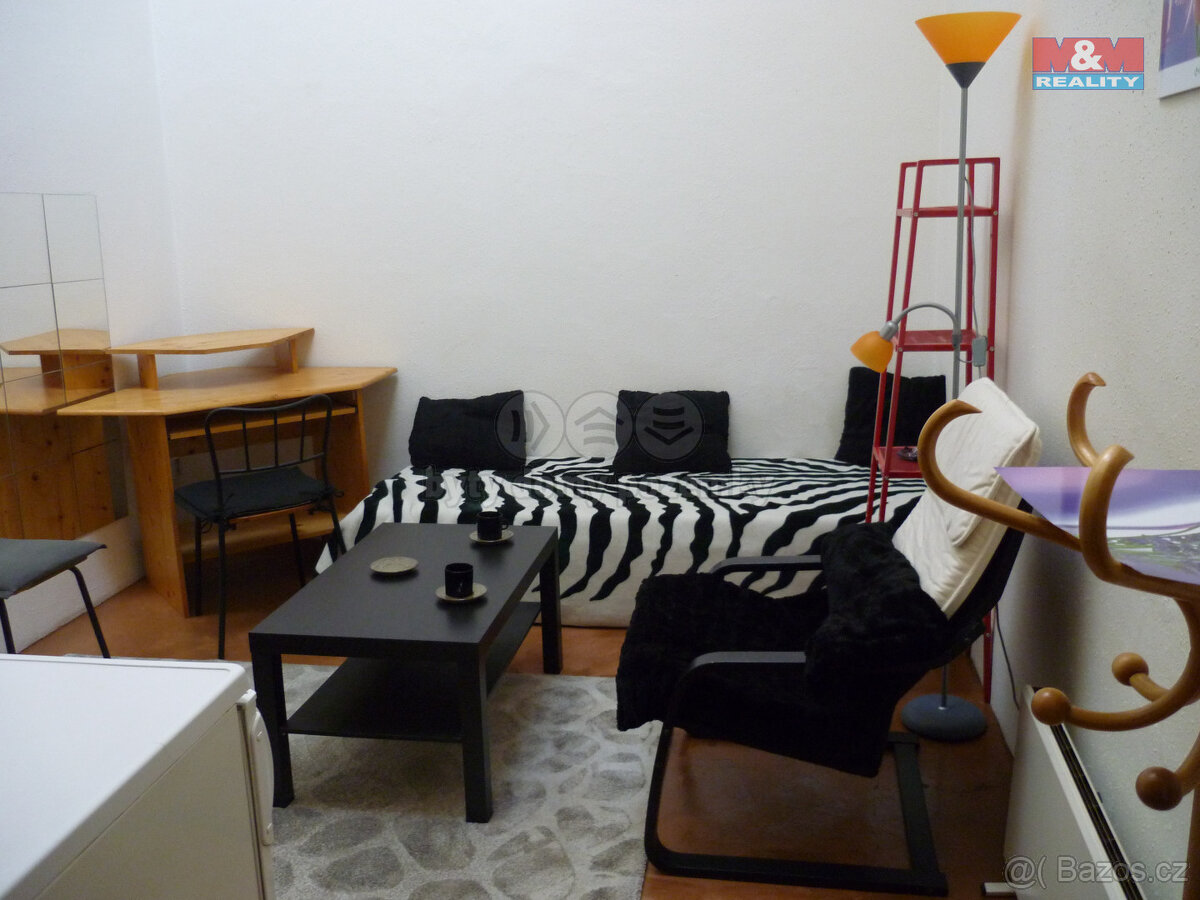 Pronájem bytu 1+kk, 15 m², Praha, ul. Mánesova