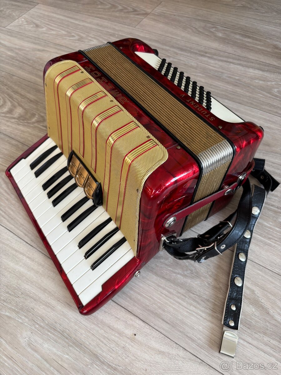 Dětský akordeon