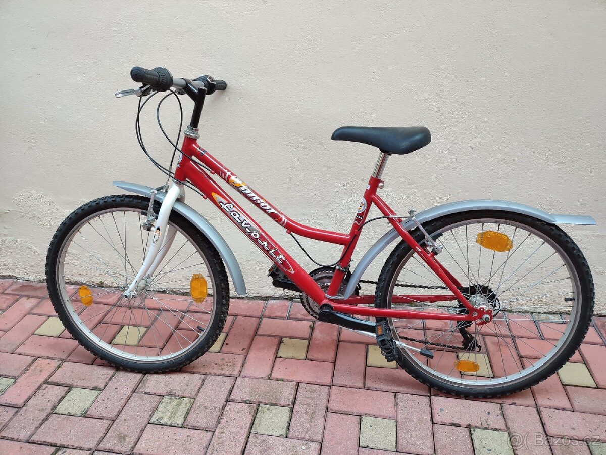 Kolo Favorit 24"