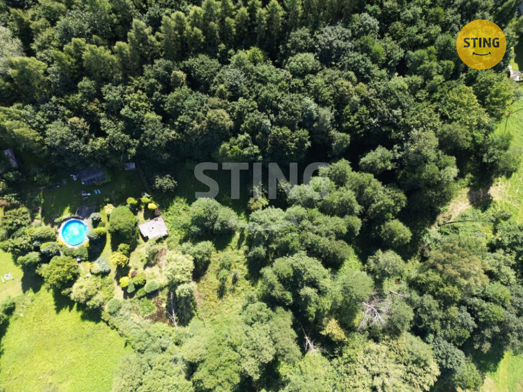 Prodej zahrady a louky 4381 m2 v Horní Datyni , 133068