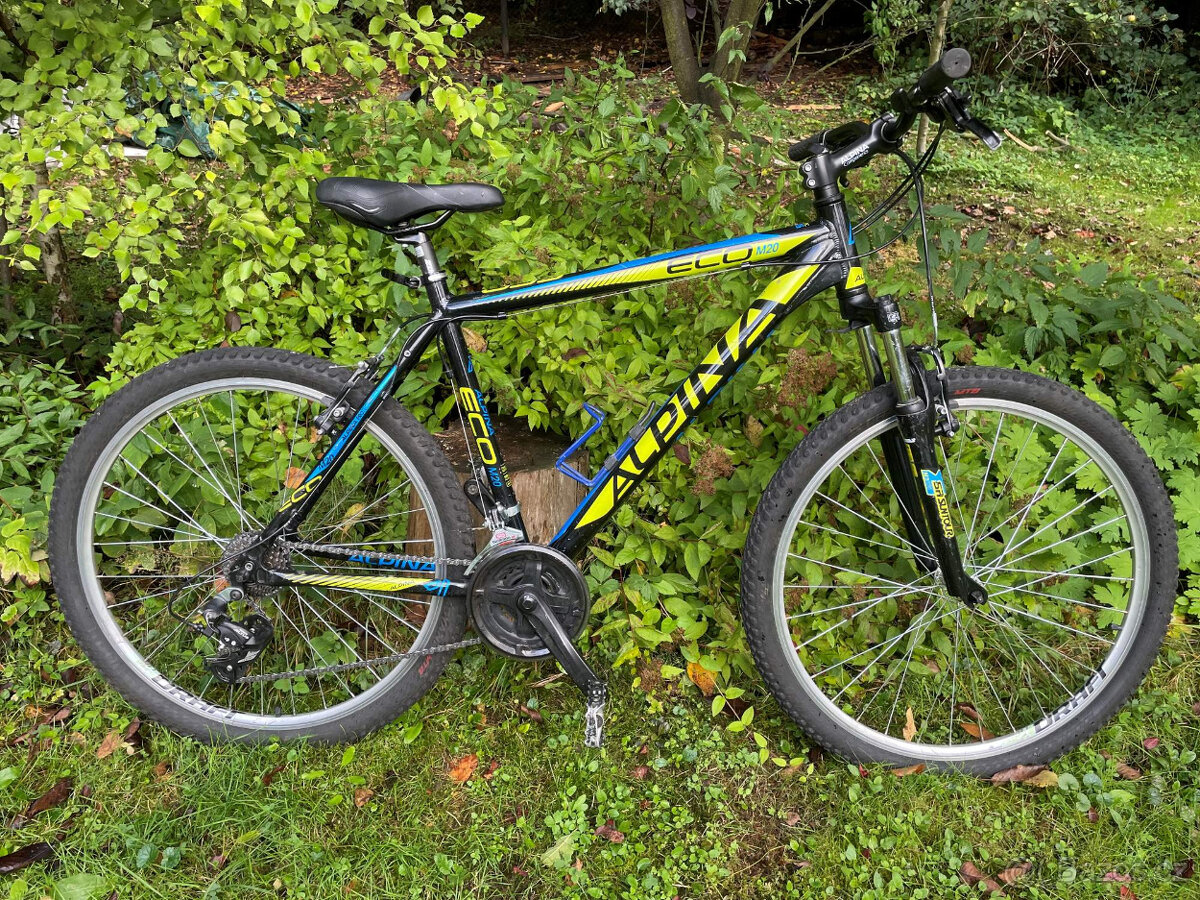 Horské kolo Alpina ECO M20