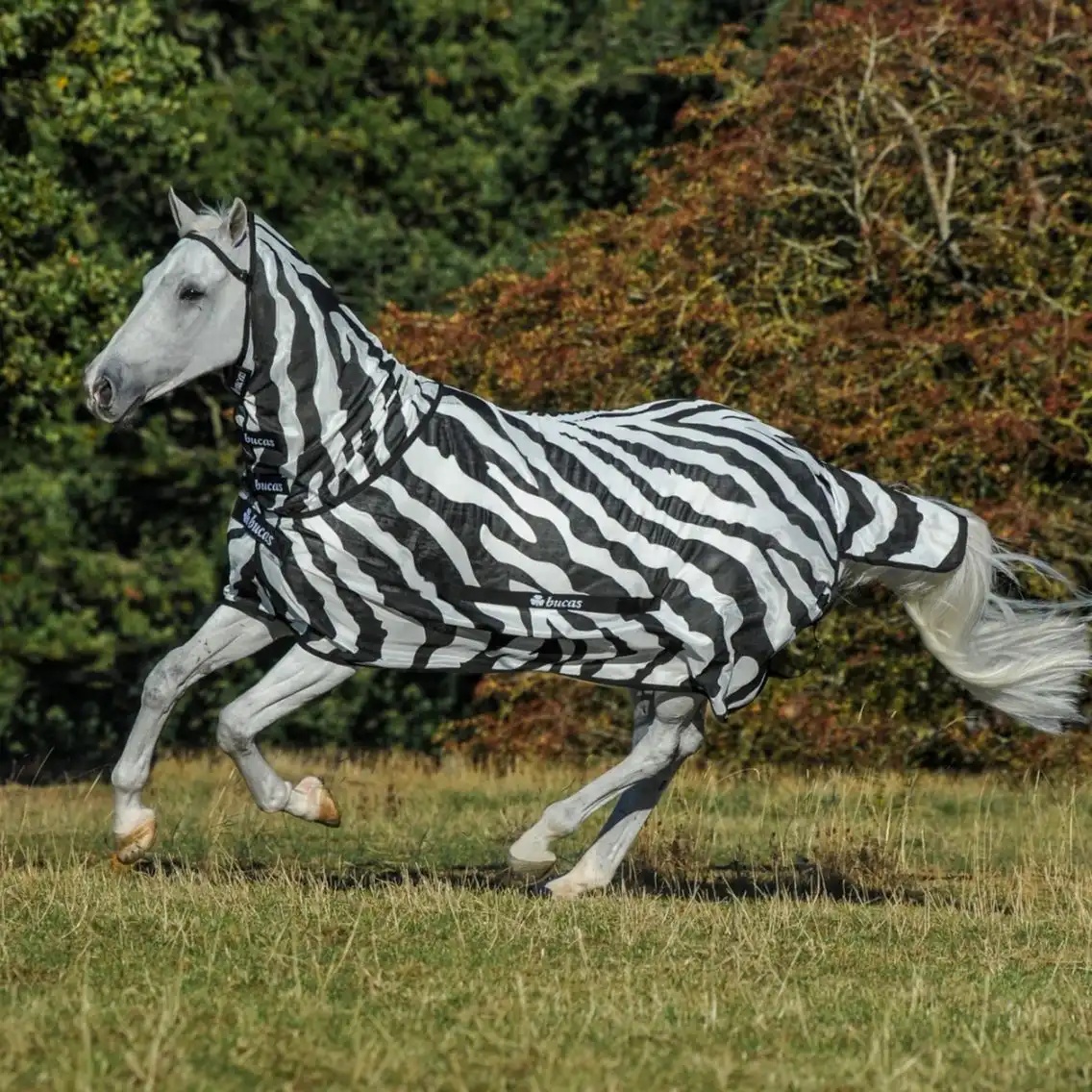 Deka síťovaná BucasBuzzOff Full Neck ZEBRA
Vyberte barvu