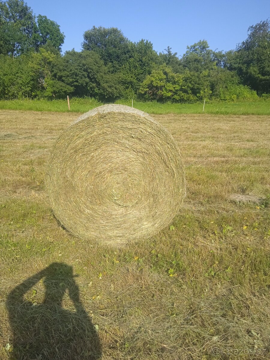 Seno balíky