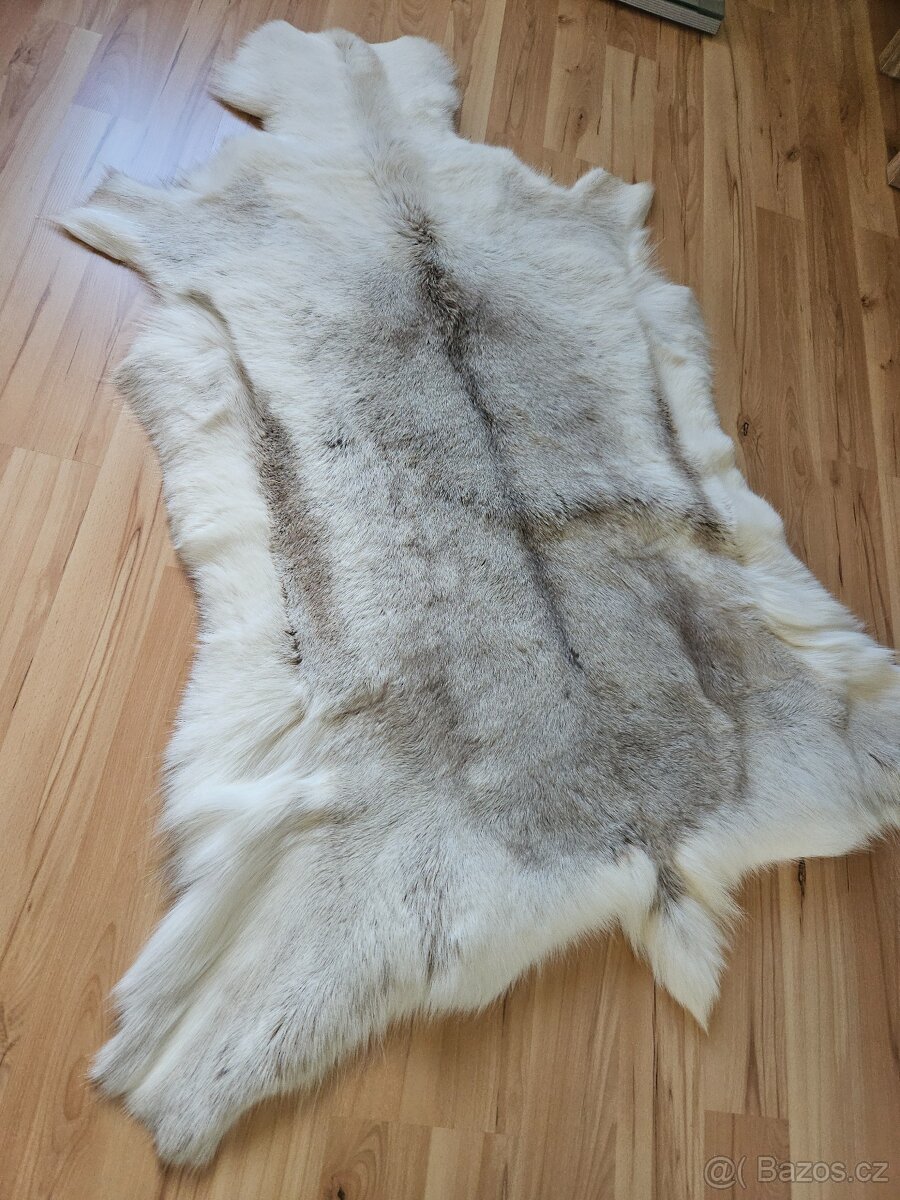 Běhoun, kobereček, předložka ze sobí kožešiny XXL