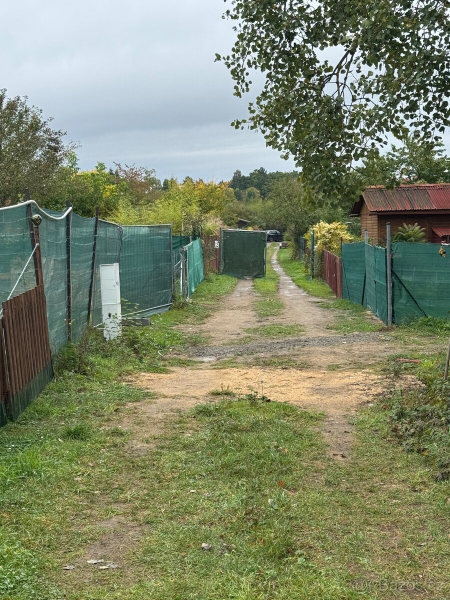 Zahrada k pronájmu